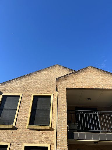 Photo from customer review