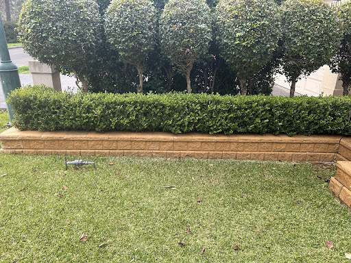 Photo from customer review