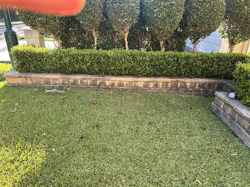 Photo from customer review
